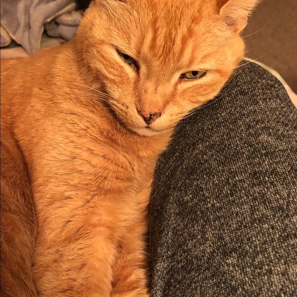 All sales go to my babyโs medical funds! New pics! - Picture 8 of 8